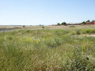 Suelo en Argés 15