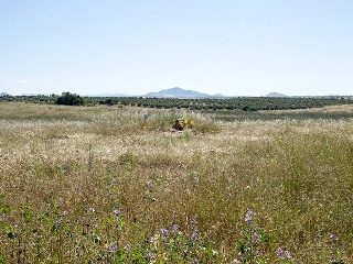 Suelo en Argés 16