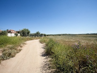 Suelo en Argés 17