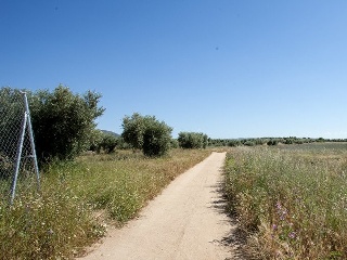 Suelo en Argés 22
