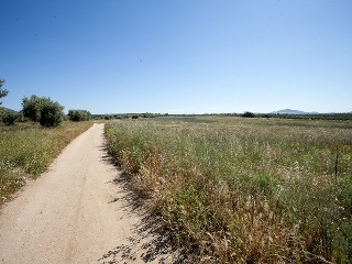 Suelo en Argés 23