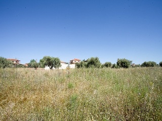 Suelo en Argés 24