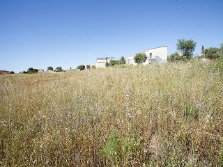 Suelo en Argés 25