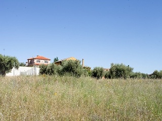 Suelo en Argés 26