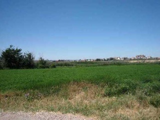 Suelo en Zaragoza 11