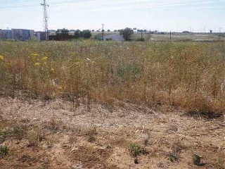 Suelo Urbanizable en San Juan del Puerto 9