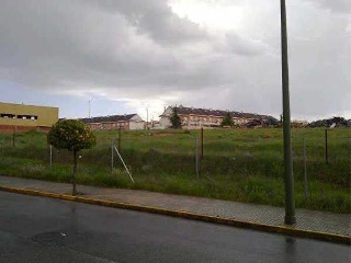 Suelos en Mérida 20