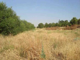 Suelos urbanizables en Sc Simancas 9