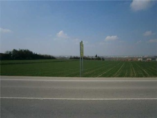 Suelos en Zaragoza 15