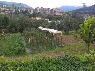 Suelo Urbanizable en PL Barrio Buruntza Auzoa  15