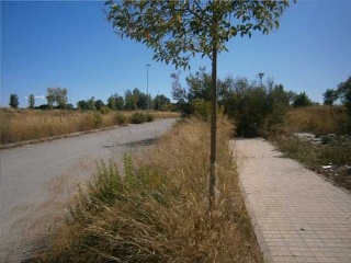 Suelo en C/ Albatàrrec 17