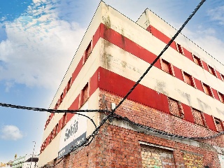 Pimienta 29
