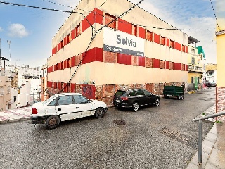 Pimienta 31