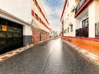 Pimienta 47