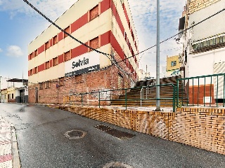Pimienta 49