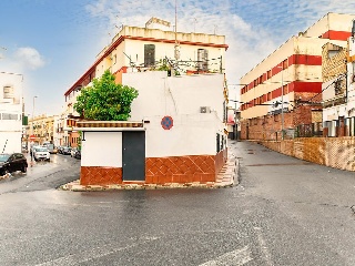 Pimienta 51