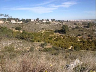 Suelo urbano en Alberic (Valencia) 16