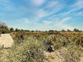 Sector PP 13 Mirador del Delta 1 37