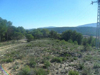 Suelo en Alcoy 24