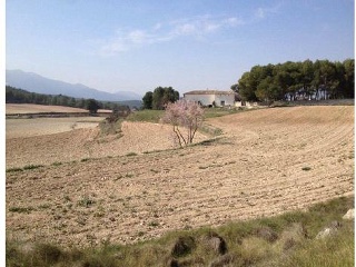 Suelo en Alcoy 27