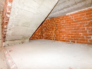 Molino 55