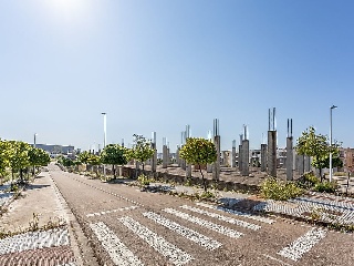 Suelo en Mérida 40