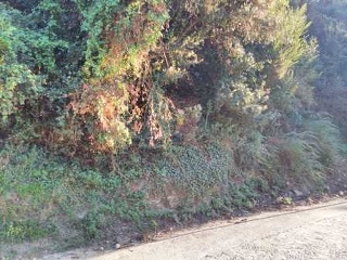 Suelos en C/ Major del Rectoret 19