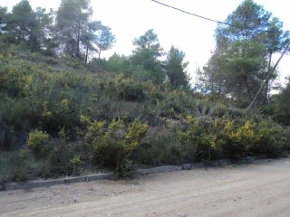 Suelo en El Montmell - Tarragona - 16
