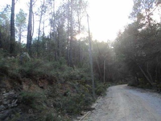 Suelo en El Montmell - Tarragona - 17