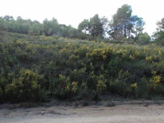 Suelo en El Montmell - Tarragona - 18