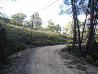 Suelo en El Montmell - Tarragona - 19