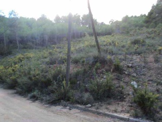Suelo en El Montmell - Tarragona - 20
