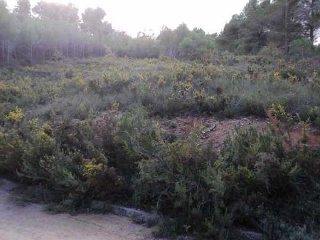 Suelo en El Montmell - Tarragona - 21