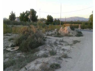 Suelo en Alguazas 16