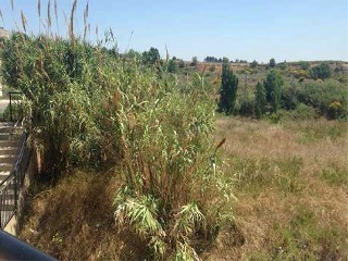 Suelos en Sant Sadurní d´ Anoia 15