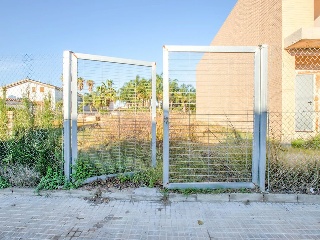 Joan Bosco 51