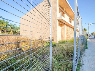 Joan Bosco 52
