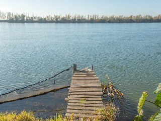 Joan Bosco 53