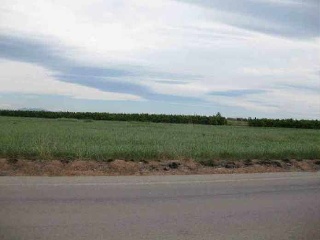Suelos en Chilches - Castellón - 20