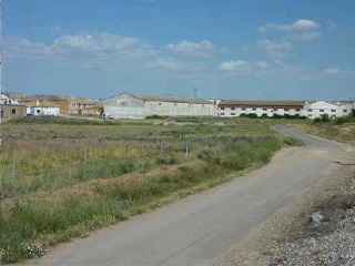 Camino Real 13