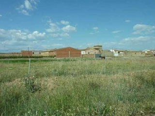 Camino Real 14