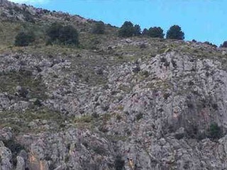 Suelo en Pt Campillos y Suertes, Cehegín (Murcia) 20
