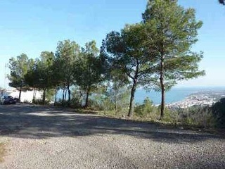 Farigola - Alcalá de Xivert - Castellón 19