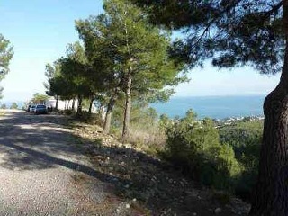 Farigola - Alcalá de Xivert - Castellón 20
