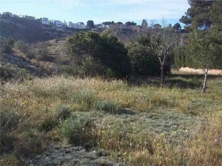 Suelo en Ur Sierra Perenchiza 10