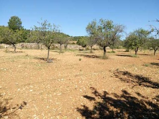 Suelos rústicos en Partida Canaleja - Chiva - 17
