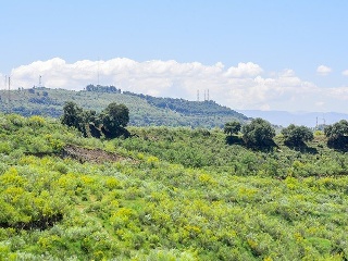 Suelo urbanizable C/ Plan Parcial Cortijo de Caicero 11