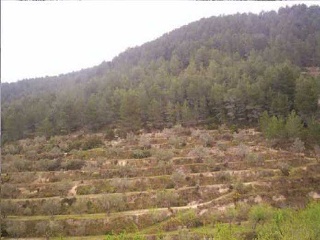 Suelo en Torremanzanas 18