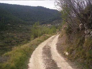 Suelo en Torremanzanas 20