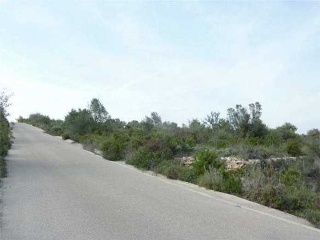 Suelo en Polígono 12, Sant Jordi/San Jorge (Castellón/Castelló) 15